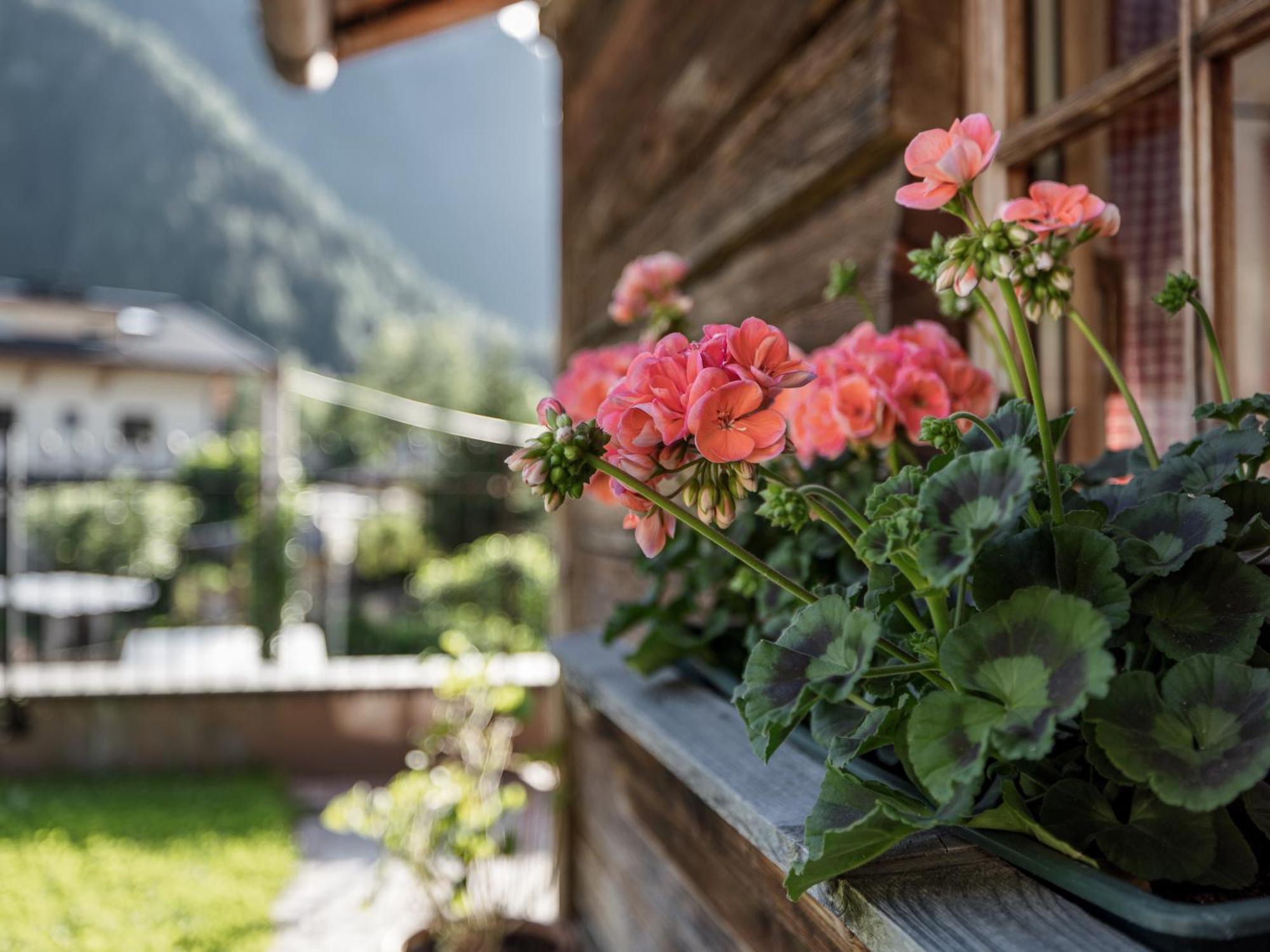 Myalps Muehlhof Inklusive Sauna Ец Екстер'єр фото